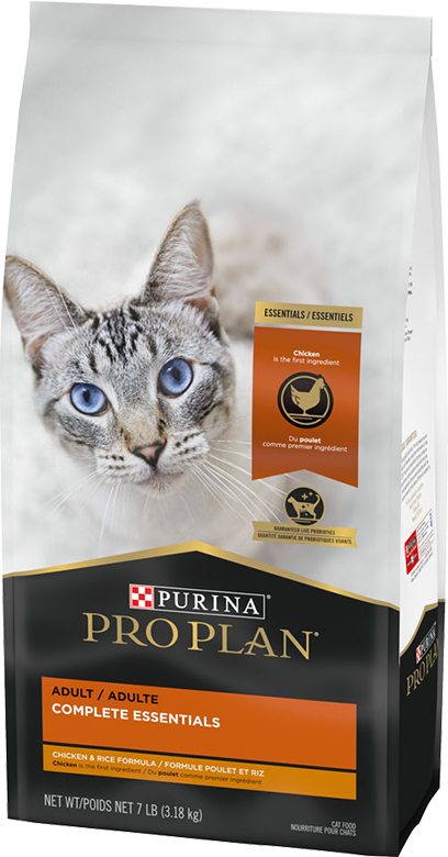 Nourriture sèche pour chat adulte