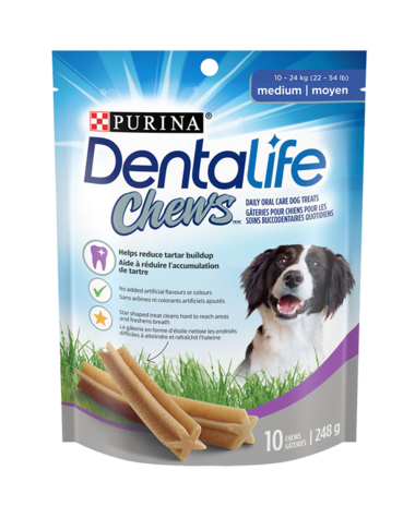 Gâteries dentaires quotidiennes pour chien