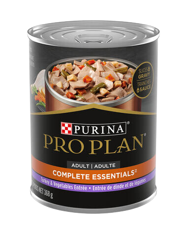 Nourriture humide pour chien adulte en sauce