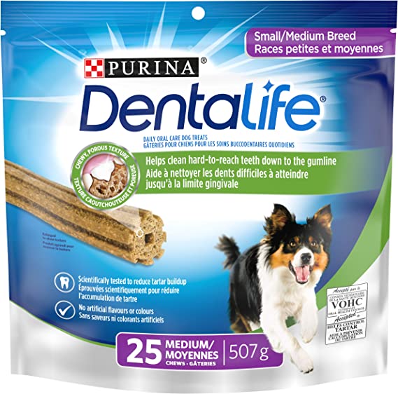 Gâteries dentaires quotidiennes pour chien