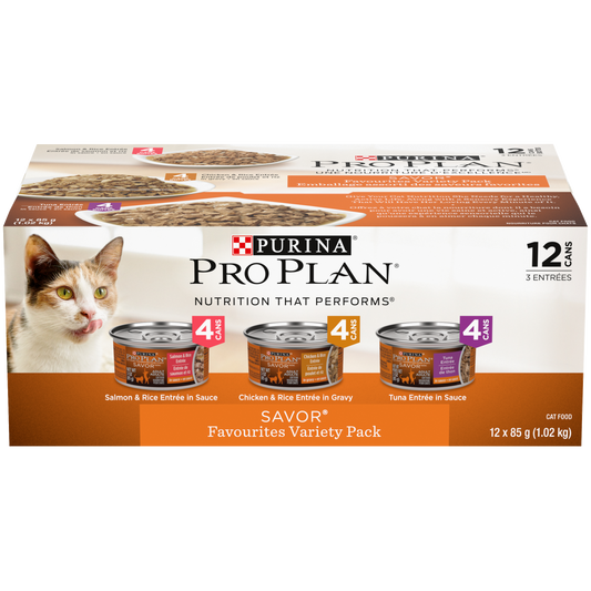 Pack variété nourriture humide pour chat, entrées favorites 85 g (paquet de 24)