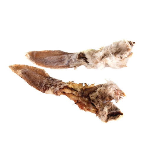 Oreille de lapin avec poils pour chien 5-7 po