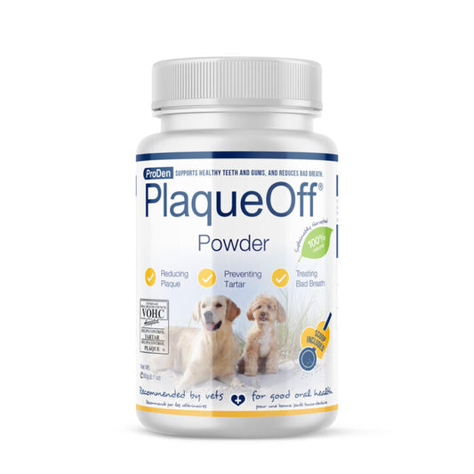 Poudre dentaire pour chien