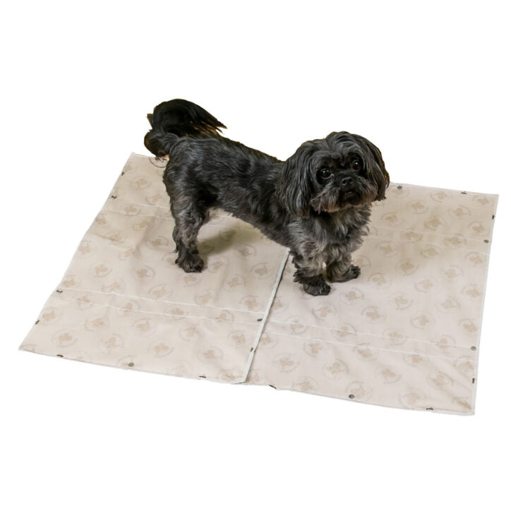 Tapis d'entraînement lavable emboîtable ultra absorbant beige 16 x 24 po (paquet de 2)
