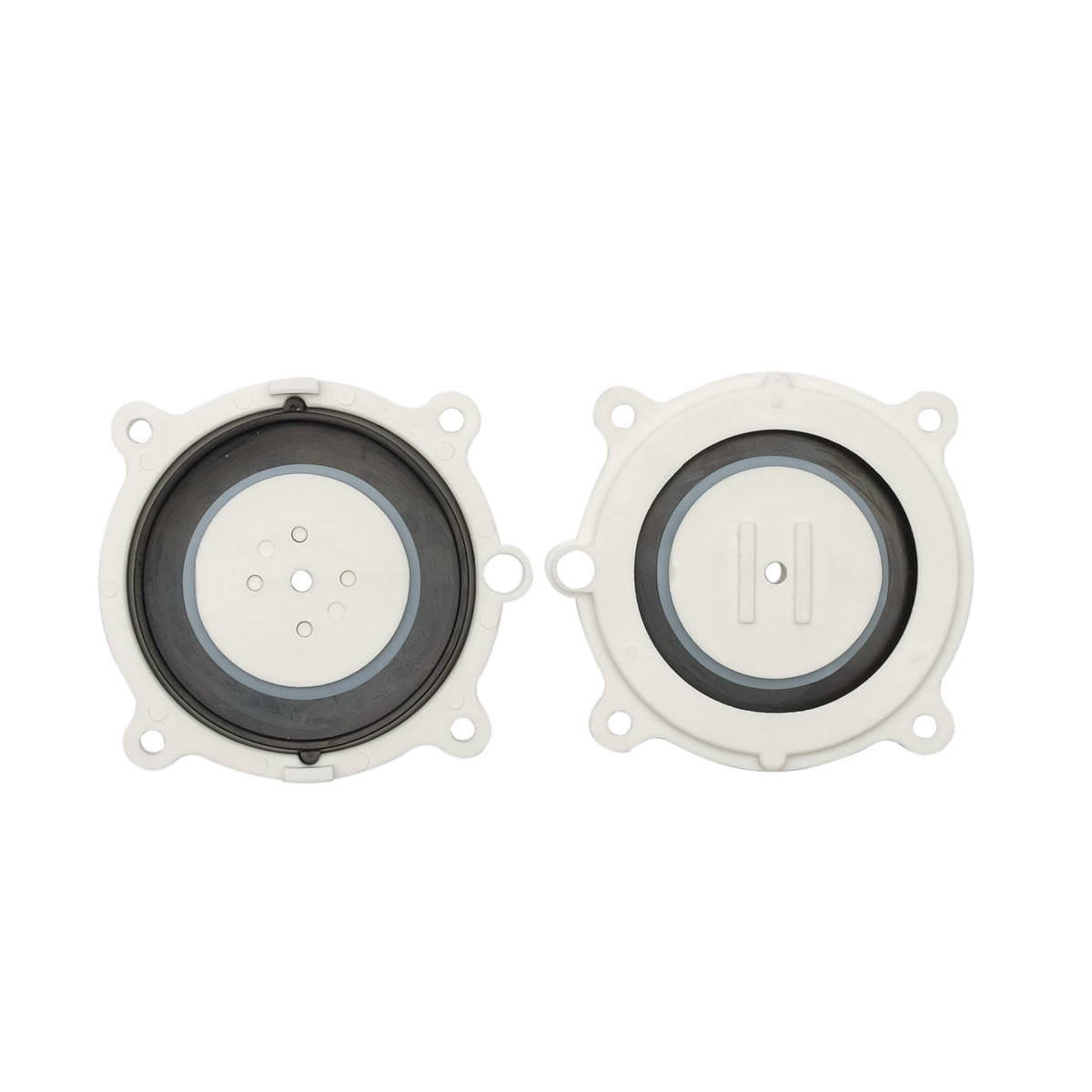 Diaphragmes pour pompes à air équipées