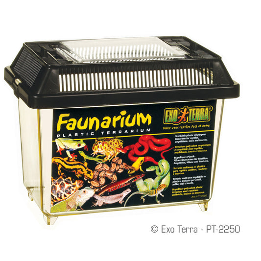 Faunarium, terrarium polyvalent en plastique