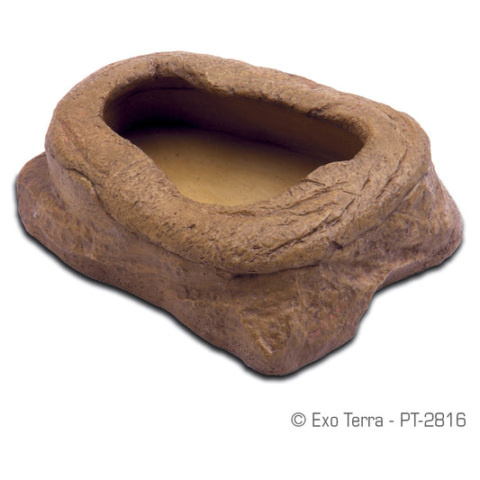 Distributeur de vers de farine Worm Dish, 9,5 x 4,5 x 12,7 cm