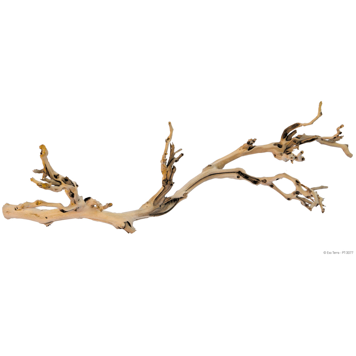 Branche d'arbre Forest Branch en vigne sablée