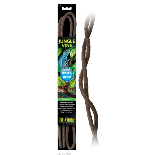 Liane pliante Jungle Vine