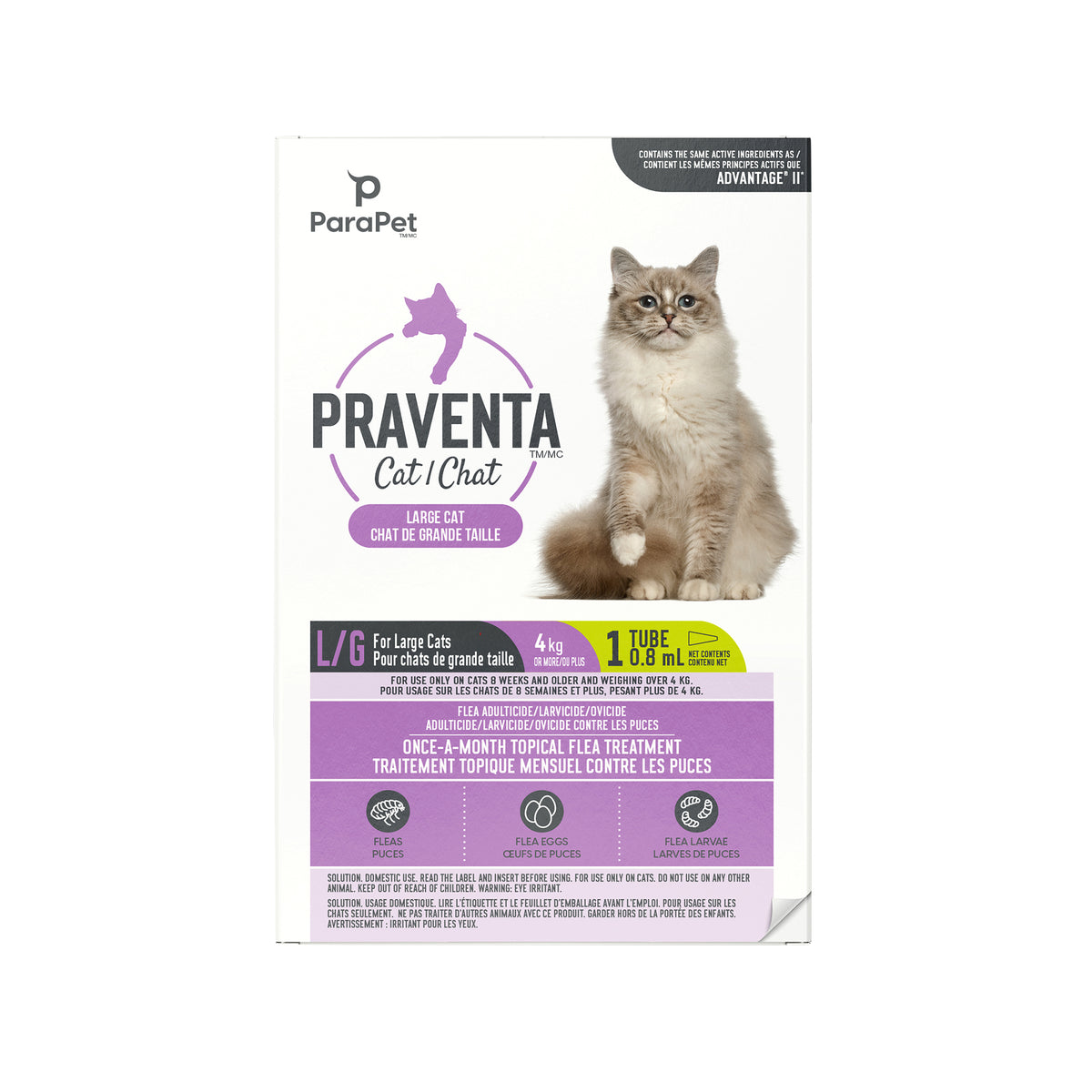 Traitement antipuces Praventa pour chats
