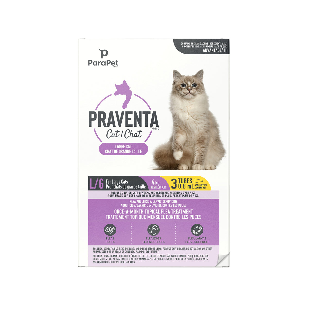 Traitement antipuces Praventa pour chats