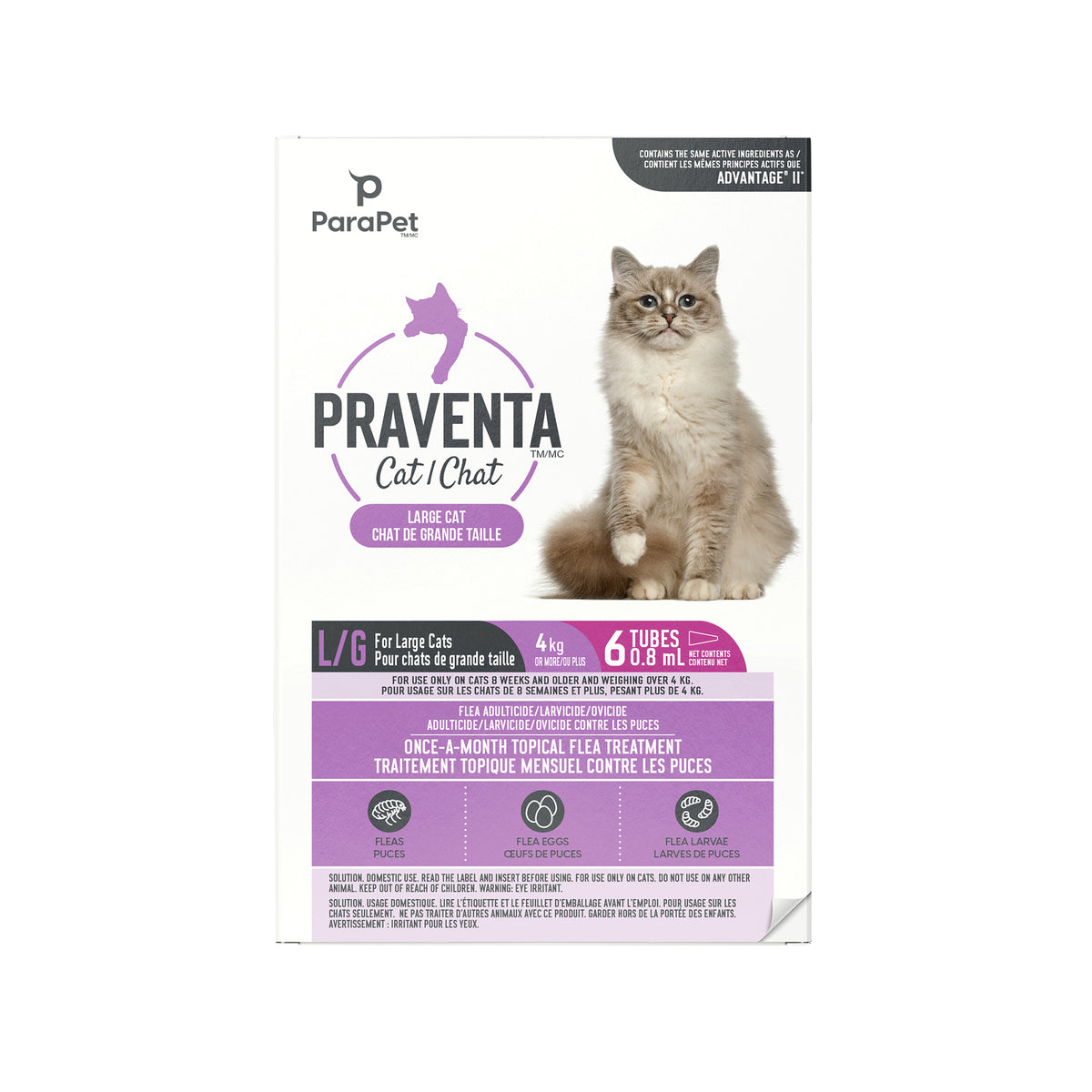 Traitement antipuces Praventa pour chats