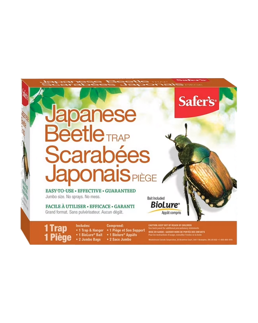 Piège à scarabées japonais