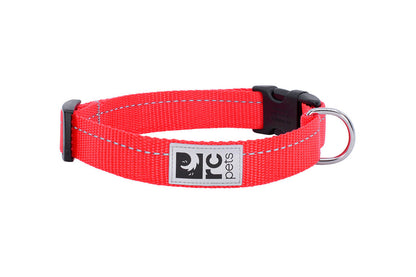 Collier de base pour chien - RC Pets
