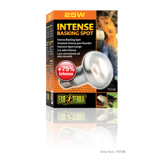 Ampoule Intense pour lézarder