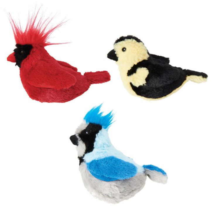 Oiseau chanteur avec herbe à chat 5 po