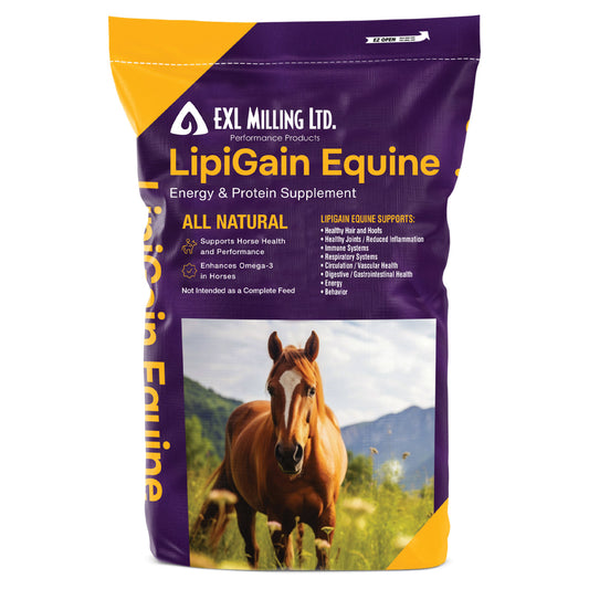 Supplément Lipigain Equine Brooks