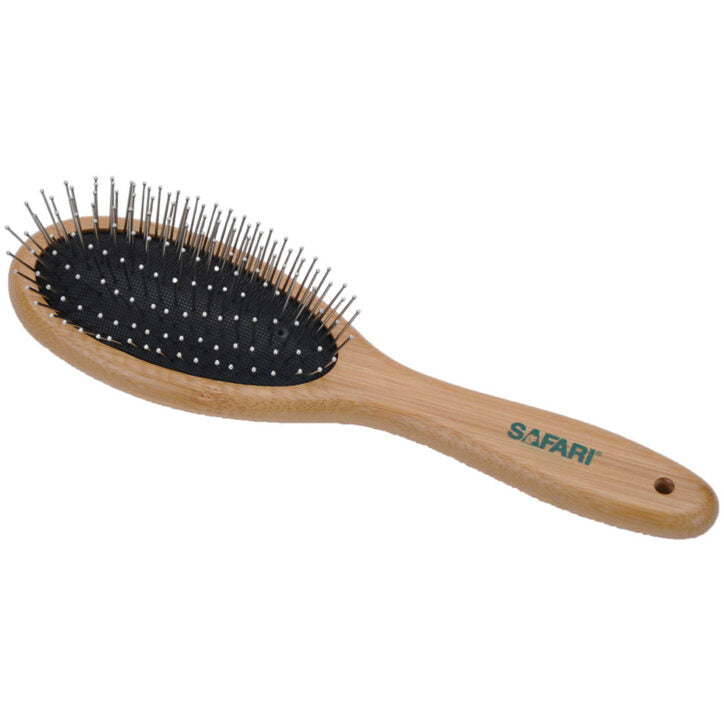 Brosse en acier avec manche en bambou grande