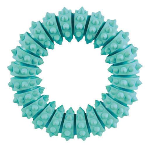 Anneau DentaFun menthe 12 cm