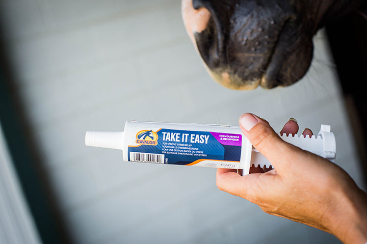 Supplément Take It Easy en seringue pour cheval 60 ml