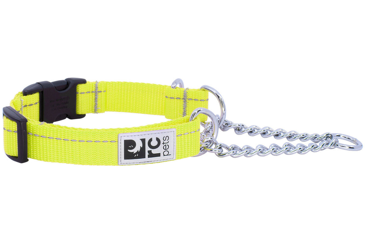 Collier de dressage de base