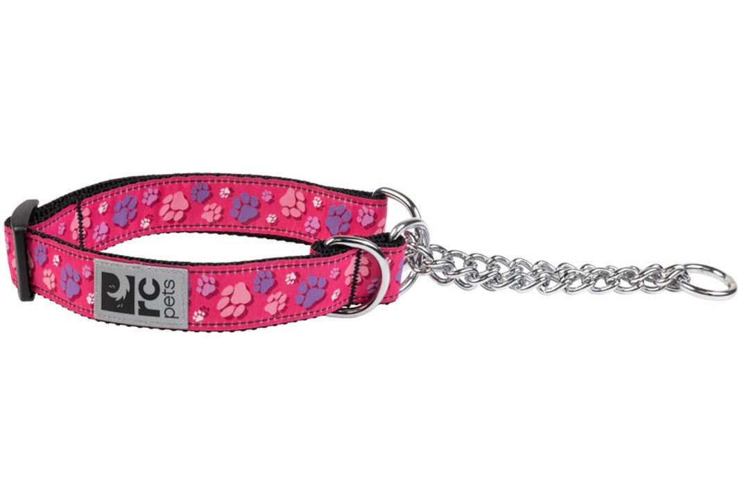 Collier de dressage à motifs pour chien - RC Pets