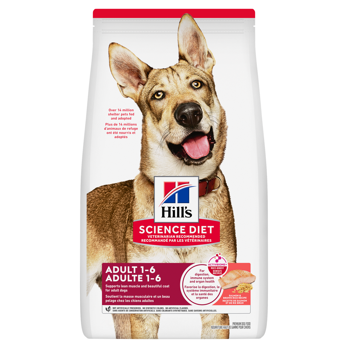 Adulte saumon et riz - nourriture sèche pour chien