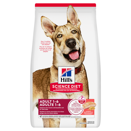 Adulte saumon et riz - nourriture sèche pour chien