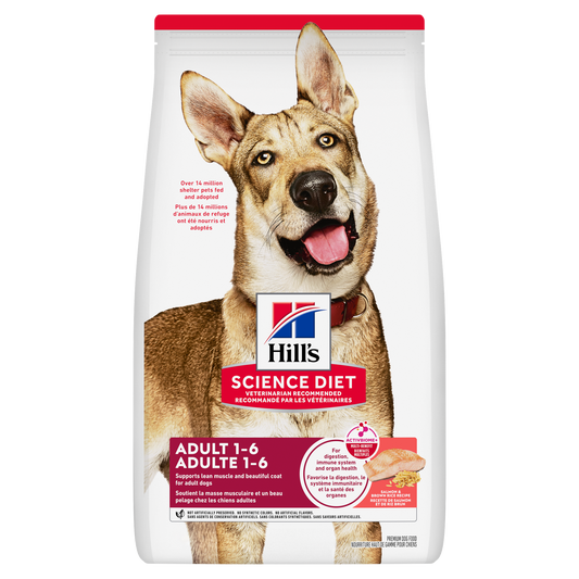 Adulte saumon et riz - nourriture sèche pour chien