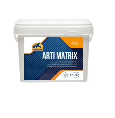 Arti Matrix poudre 5 kg - supplément pour cheval