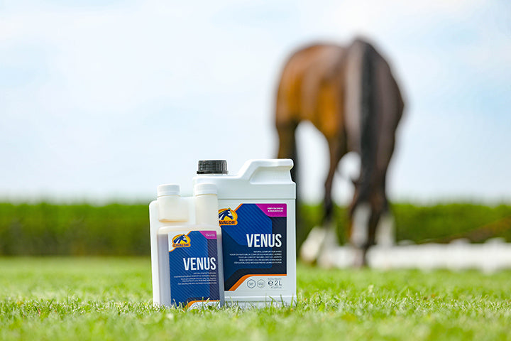 Venus liquide 2 l - supplément pour cheval