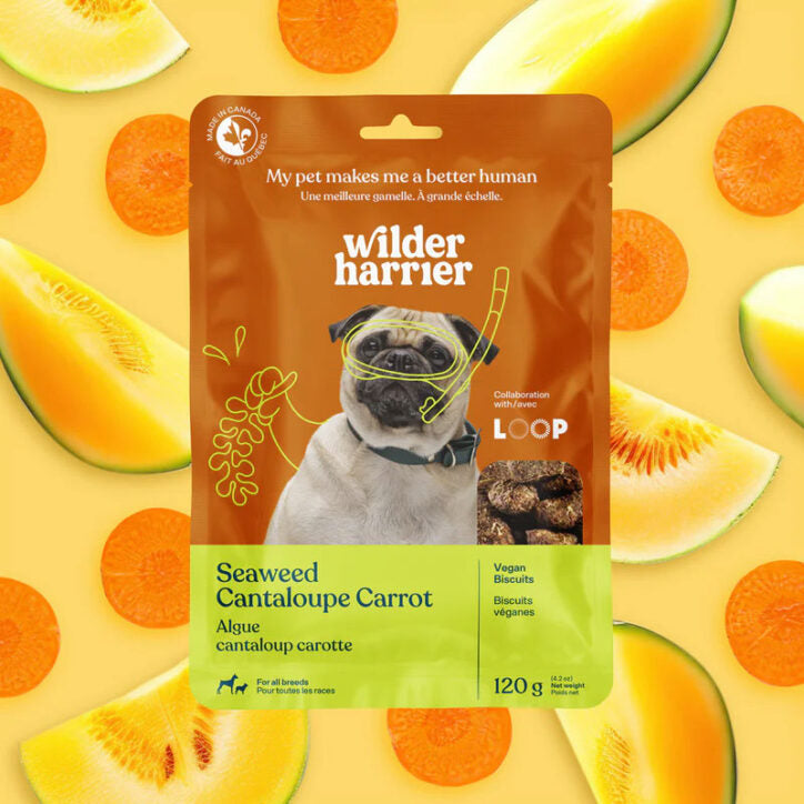 Aux algues - biscuits véganes pour chien Wilder Harrier