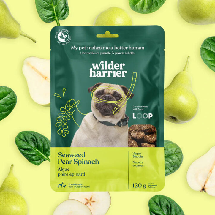 Biscuits véganes aux algues pour chien