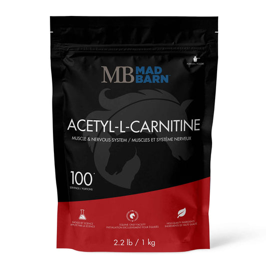 Acétyl-L-carnitine (ALCAR) 1 kg