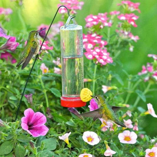 Abreuvoir à colibris pour jardinière avec tige de suspension
