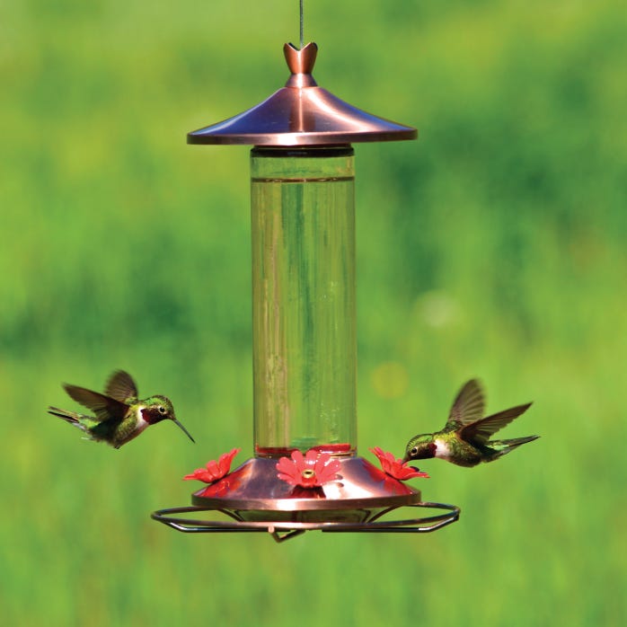 Abreuvoir à colibris Tulipe à remplissage par le haut