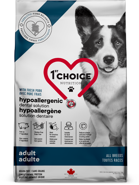 Hypoallergène solution dentaire sans grains porc 1st Choice - nourriture sèche pour chien