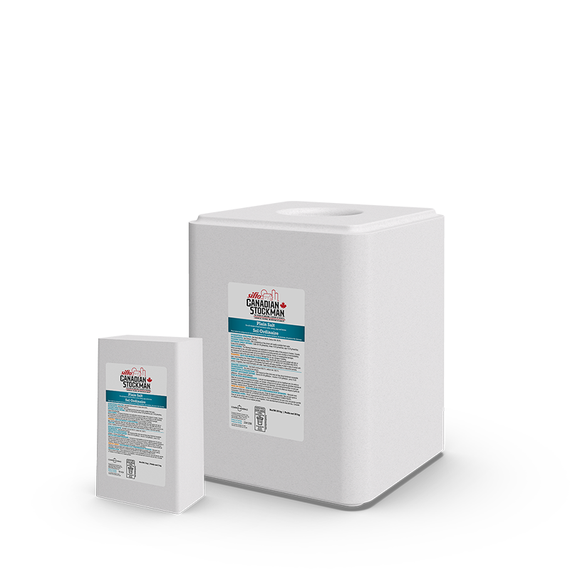 Bloc de sel à lécher blanc 2 kg