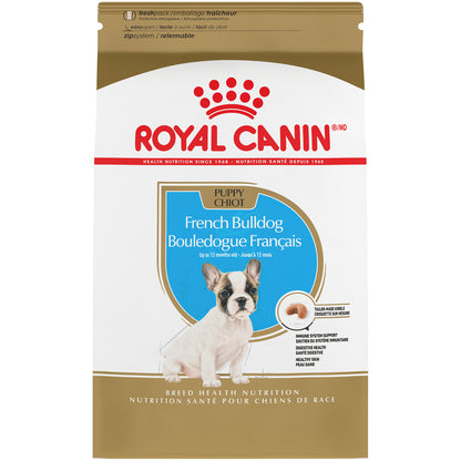 Bouledogue français chiot - nourriture sèche pour chien