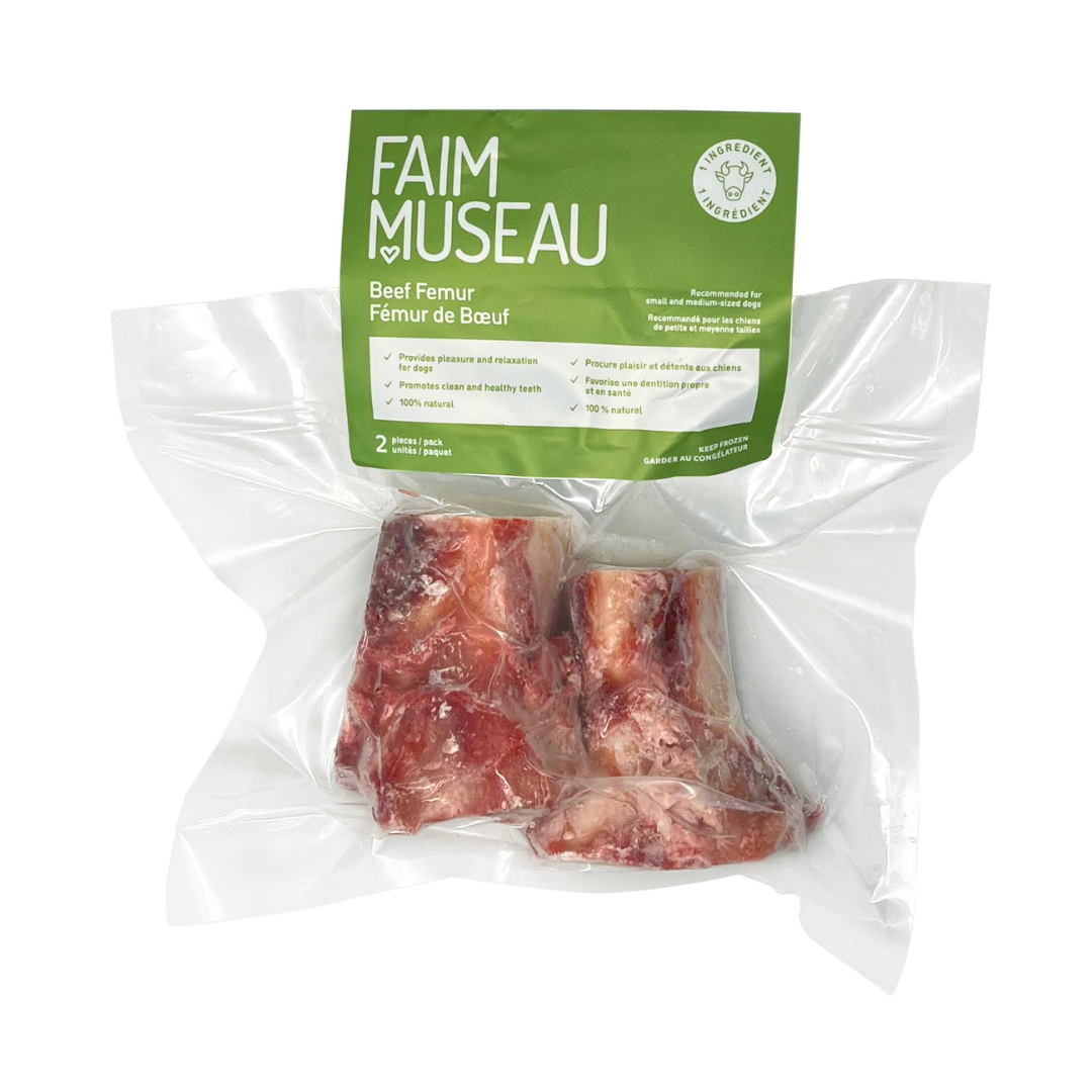 Fémur de bœuf moyen