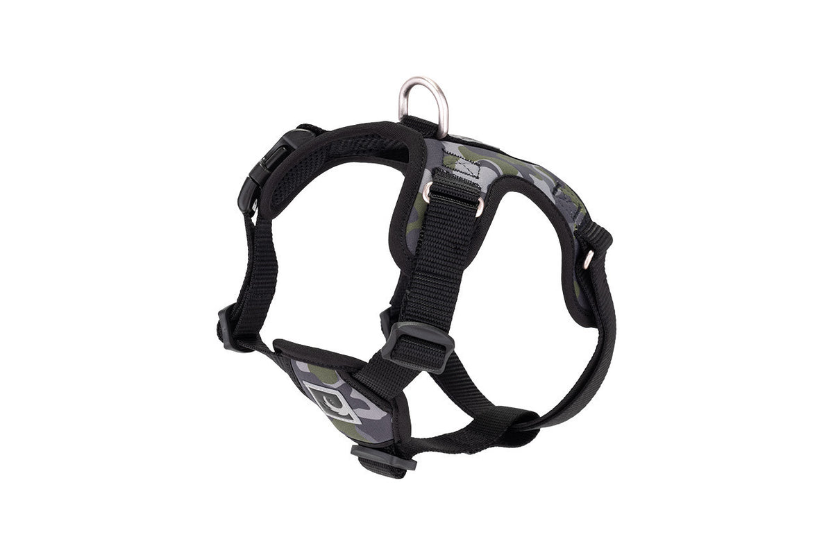 Harnais à enfiler Forte pour chien - RC Pets