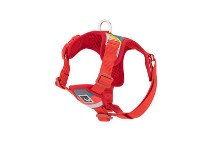 Harnais à enfiler Forte pour chien - RC Pets