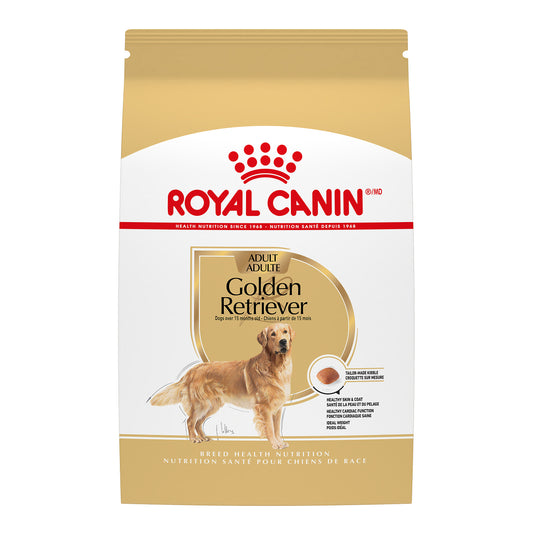 Golden Retriever adulte - nourriture sèche pour chien