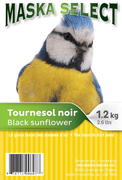 Tournesol noir Maska - nourriture pour oiseaux sauvages
