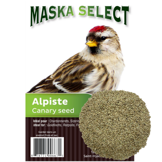 Alpiste Maska