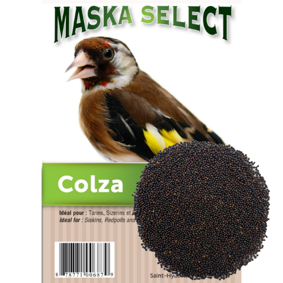 Graines de colza Maska