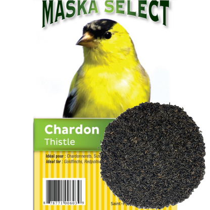 Graines de chardon (nyjer) Maska