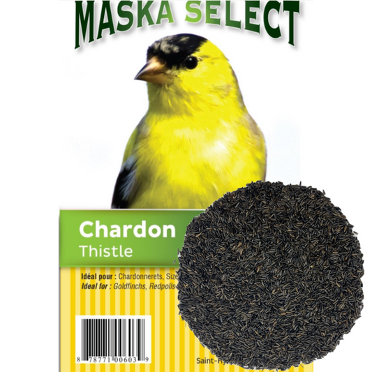 Graines de chardon (nyjer) Maska