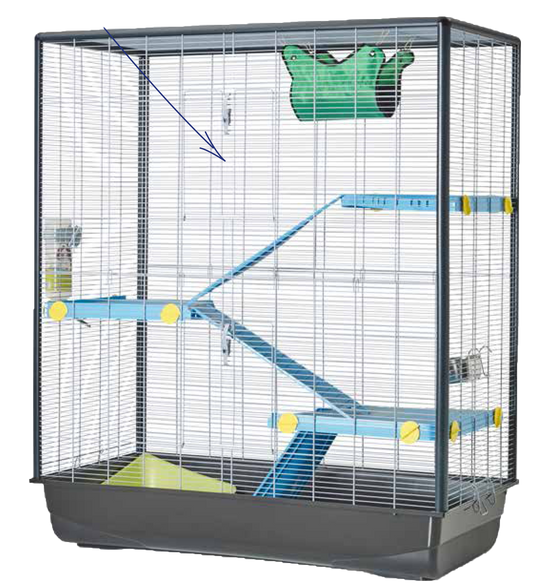 Cage Zeno