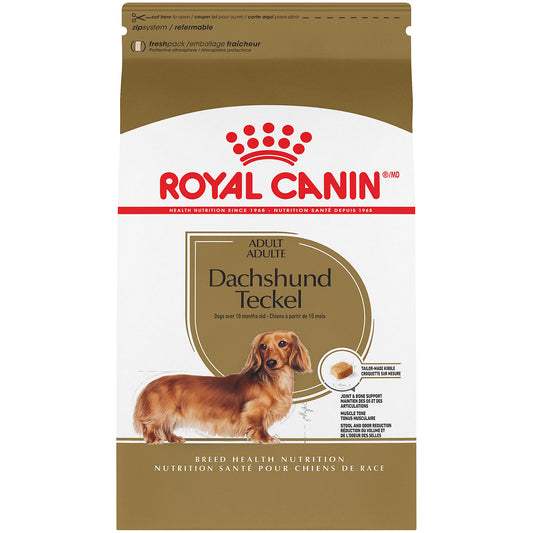 Teckel adulte - nourriture sèche pour chien